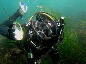 Diver photo op with Abalone shell.