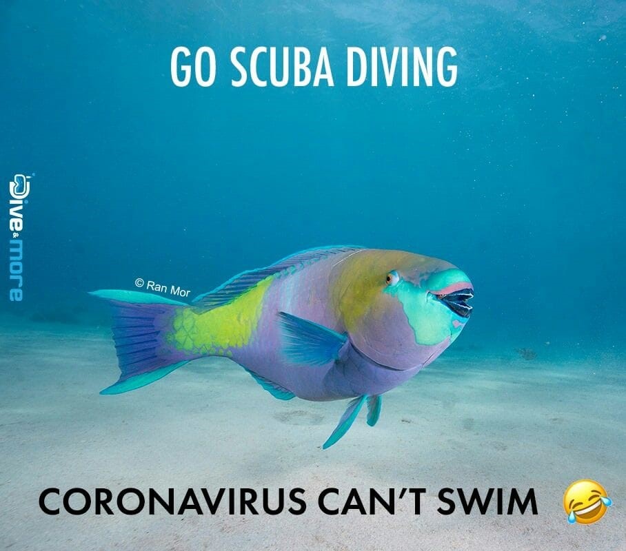 corona virus can't swim