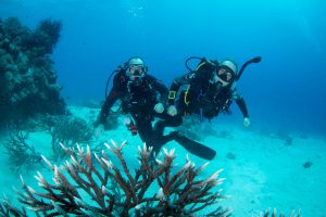 A Beginner's Guide to Scuba Diving in San Diego