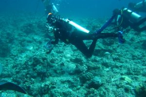Scuba Diving in San Diego