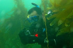 Is San Diego a Good Place to Get Scuba Certified?