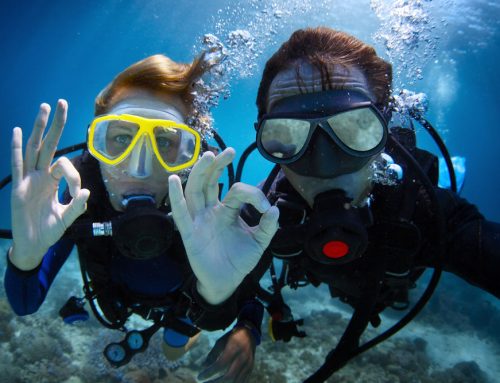 Why Should I Scuba Dive with a Local Guide?