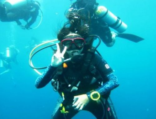 Why San Diego is a Must-Visit Destination for Scuba Divers