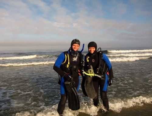 A Beginner’s Guide to Scuba Diving in San Diego