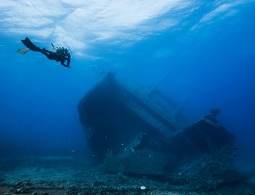 How to Choose Specialty Diving Courses to Explore Shipwrecks and Deeper Sites