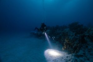 When to Consider Night Dives for a New Perspective on San Diego Marine Life