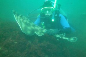 When to Use DAN Membership for Emergency Diving Support and Travel Safety