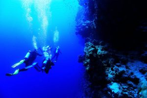 How to Choose the Right SCUBA Certification Level for Your San Diego Diving Goals