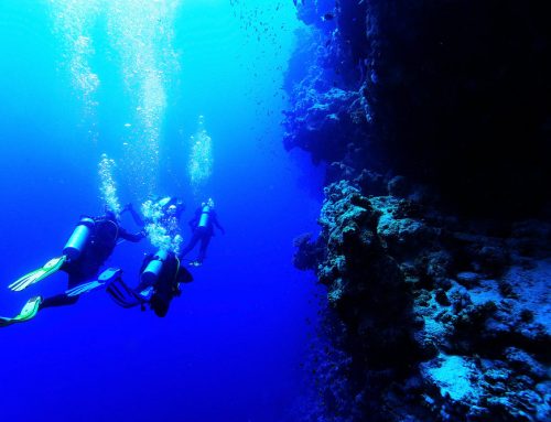 How to Choose the Right SCUBA Certification Level for Your San Diego Diving Goals
