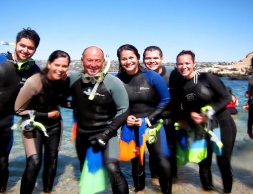 When You Should Book a Guided Snorkel Tour in La Jolla for the Best Marine Life Viewing