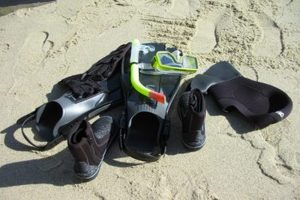 How to Rent SCUBA and Snorkel Equipment for Your San Diego Ocean Adventure