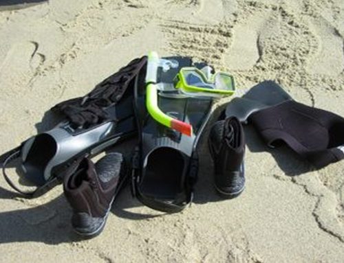 How to Rent SCUBA and Snorkel Equipment for Your San Diego Ocean Adventure
