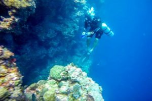 When Advanced Specialty Courses Like Wreck or Deep Diving Make Sense for You