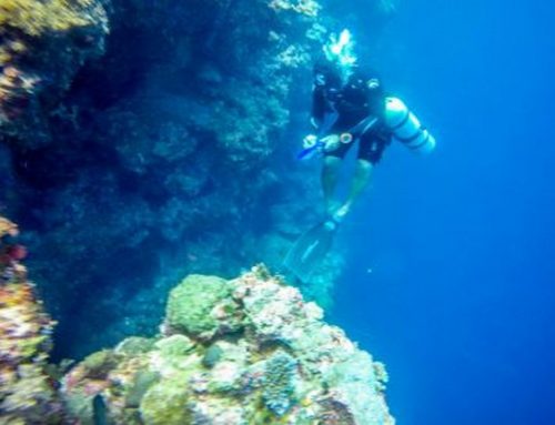 When Advanced Specialty Courses Like Wreck or Deep Diving Make Sense for You