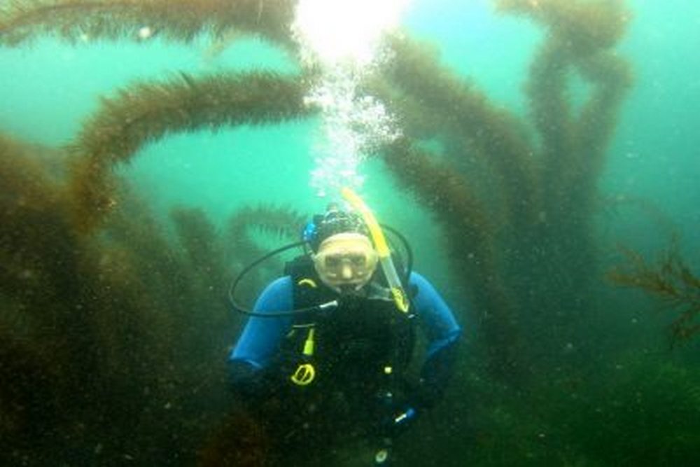 How a Scuba Refresher Course Helps You Dive With Confidence Again
