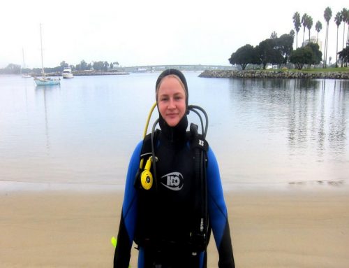 Why Try Scuba Experiences Are Perfect Before Earning Your Certification